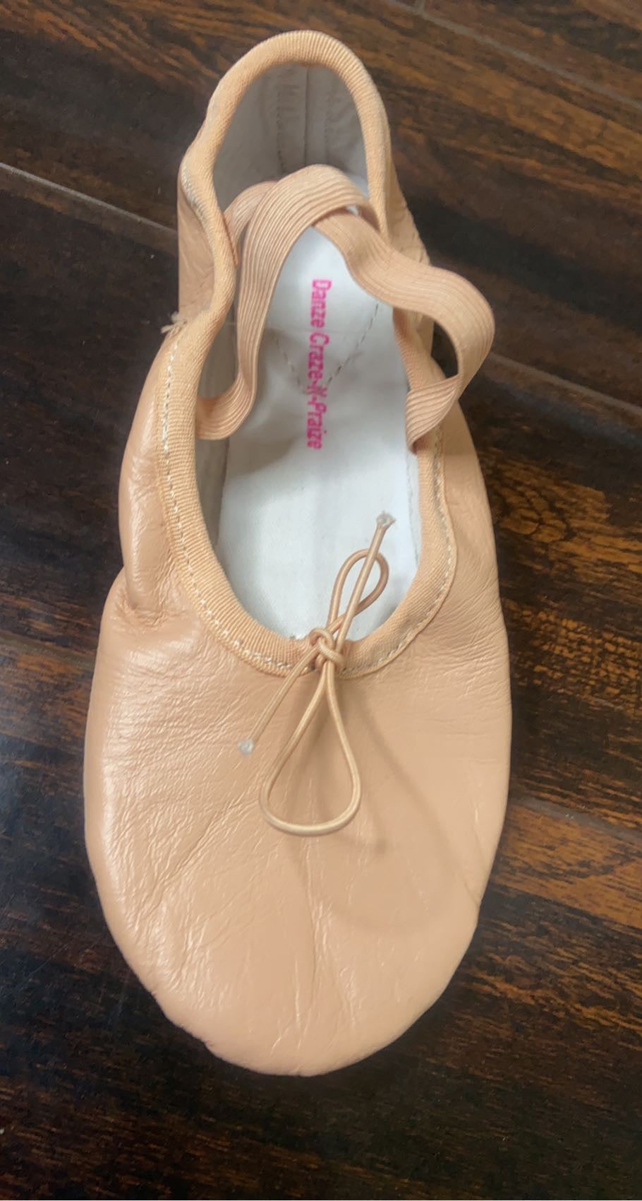 DCNP Leather Split Sole Child Ballet Shoe