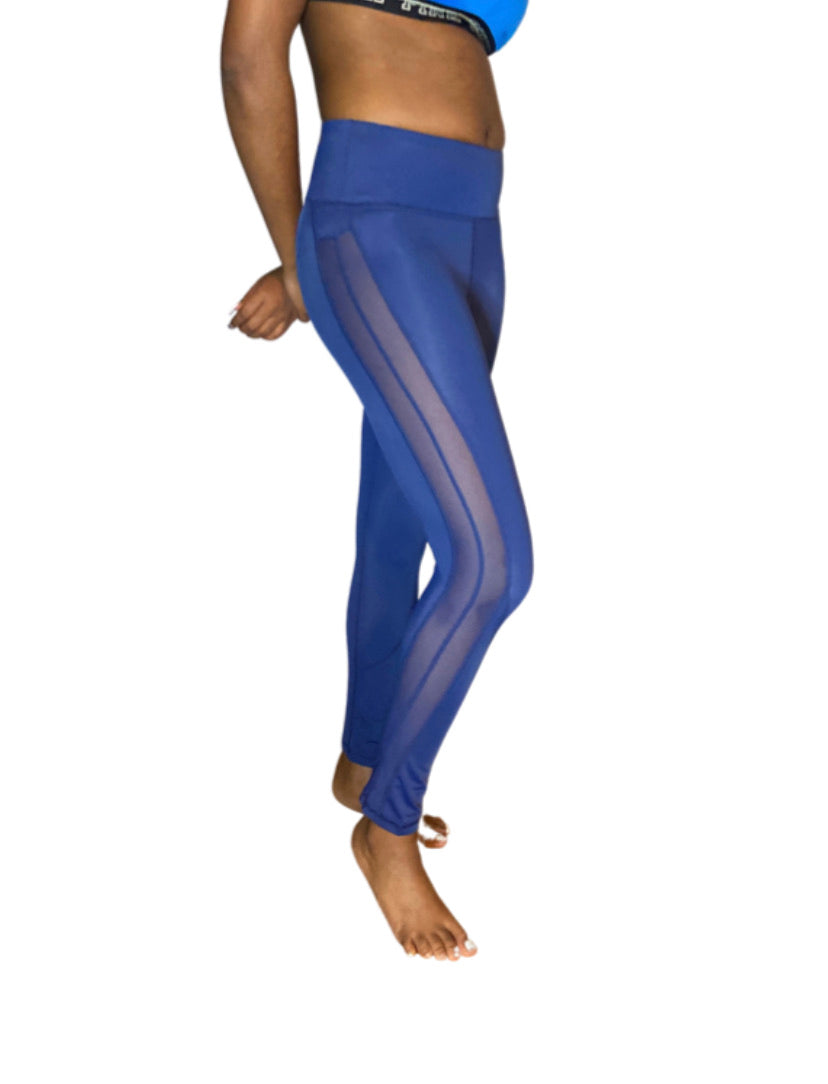 Meshed Stripe Cropped Leggings